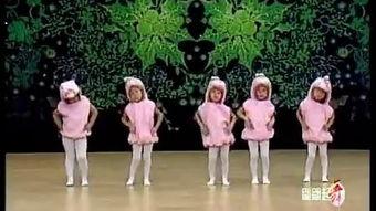 热点爆料兔子舞蹈视频,萌态可掬引网友热议